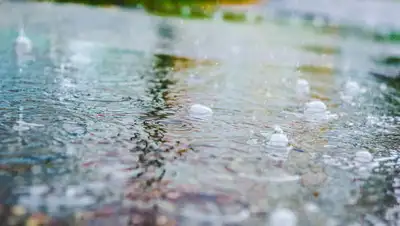 Юга.ру, фото - Новости Zakon.kz от 15.08.2019 09:21