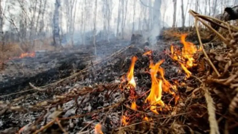 В акимате Актюбинской области обсудили готовность к пожароопасному сезону