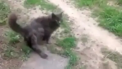 Zakon.kz, фото - Новости Zakon.kz от 05.05.2016 21:03