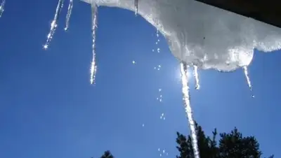 Zakon.kz, фото - Новости Zakon.kz от 10.03.2016 12:00