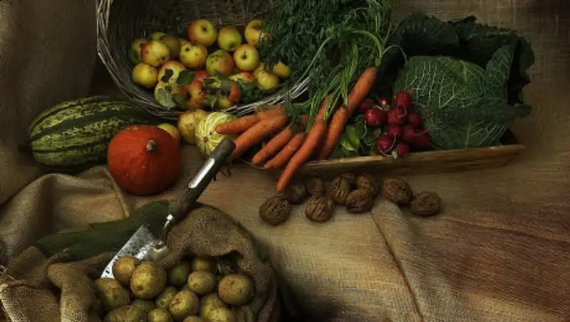 Запрещенные к вывозу из Казахстана сельхозтовары уточнили в МСХ