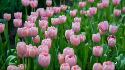 Тепло и холодно, фото - Новости Zakon.kz от 01.03.2022 10:33