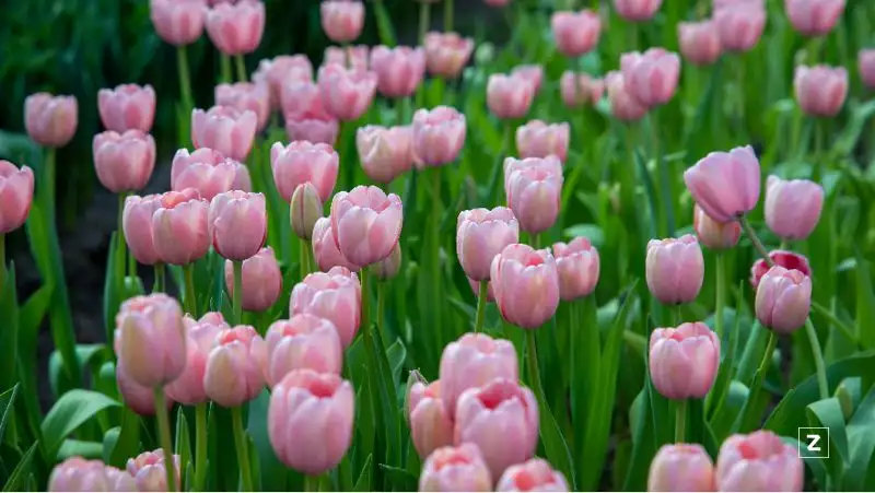 Тепло или холодно – какой будет погода в марте