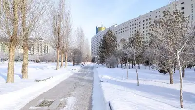 зима, фото - Новости Zakon.kz от 31.01.2022 20:28