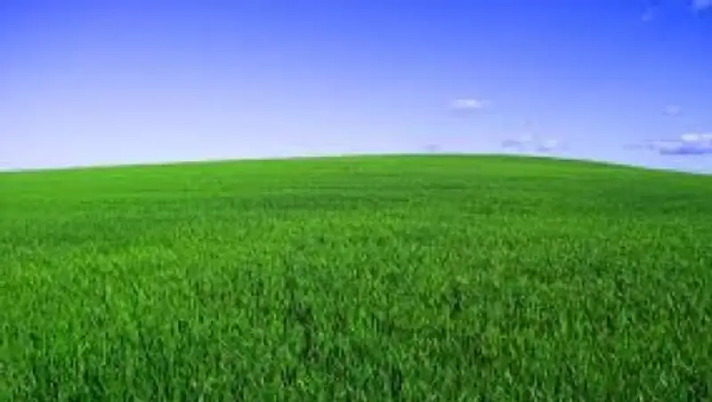 Законопроект о пастбищах одобрен в Мажилисе в первом чтении