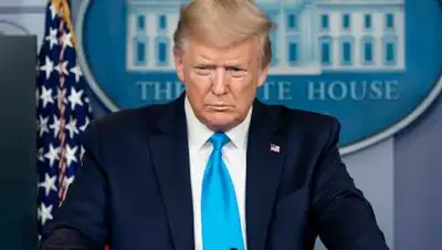 rossaprimavera, фото - Новости Zakon.kz от 18.11.2020 08:58