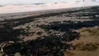 Zakon.kz, фото - Новости Zakon.kz от 03.03.2016 07:09