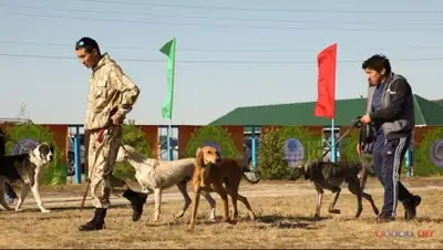 Zakon.kz, фото - Новости Zakon.kz от 07.09.2015 07:18