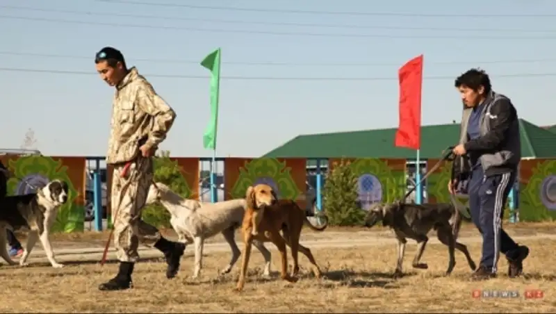 В Казахстане выбрали эталонных представителей среди тобетов и тазы 