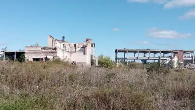 7152.kz, фото - Новости Zakon.kz от 10.09.2020 22:58