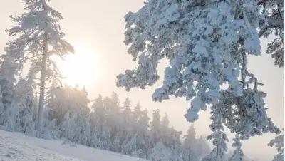 pixabay.com, фото - Новости Zakon.kz от 02.12.2020 15:08