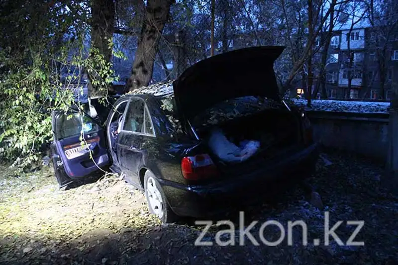 Девушка за рулем Ауди не справилась с управлением и врезалась в дерево, Алматы (фото) Девушка за рулем Ауди не справилась с управлением и врезалась в дерево, Алматы (фото), фото - Новости Zakon.kz от 11.11.2013 19:53