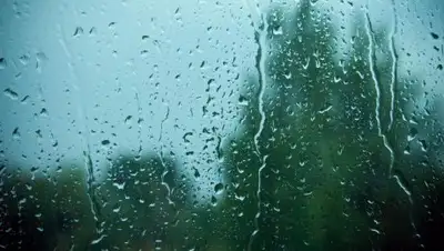 Zakon.kz, фото - Новости Zakon.kz от 02.07.2017 12:00