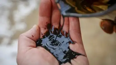 Zakon.kz, фото - Новости Zakon.kz от 28.01.2016 17:55