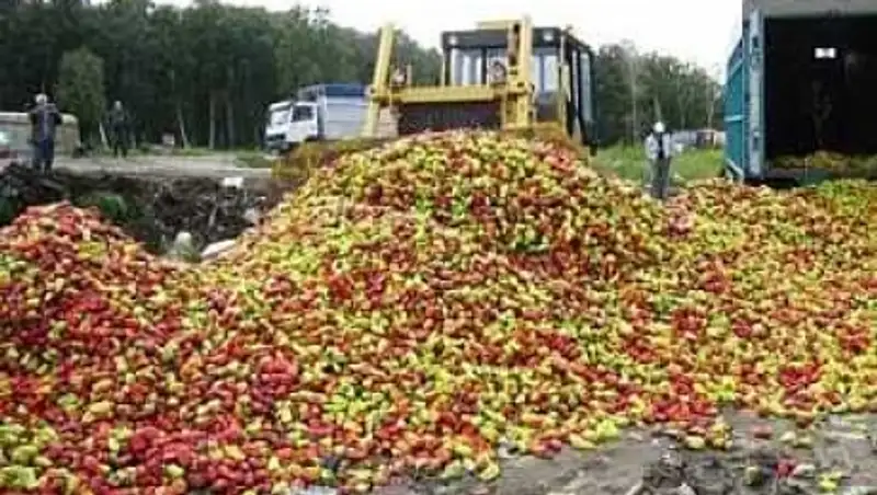 НПП «жалко» перцы – «светофоры», уничтоженные в РФ