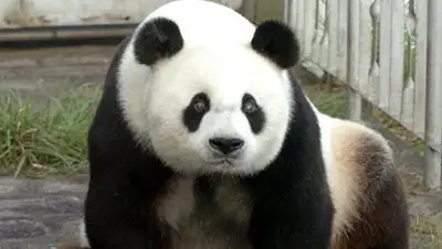 Zakon.kz, фото - Новости Zakon.kz от 28.12.2016 22:33