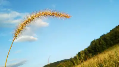 Нехватка продовольствия, фото - Новости Zakon.kz от 25.03.2022 07:44