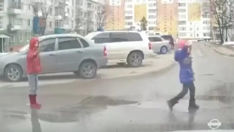 Девочка из Якутии перевела через дорогу детей и собаку и стала звездой интернета