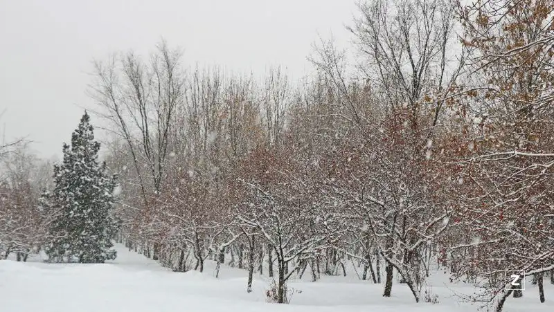 До 23 градусов мороза прогнозируют в Казахстане