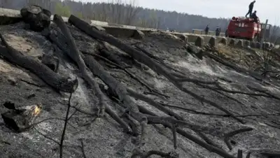 Zakon.kz, фото - Новости Zakon.kz от 21.05.2015 23:39