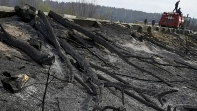 Киев разглядел в пожаре у Чернобыльской АЭС российскую диверсию