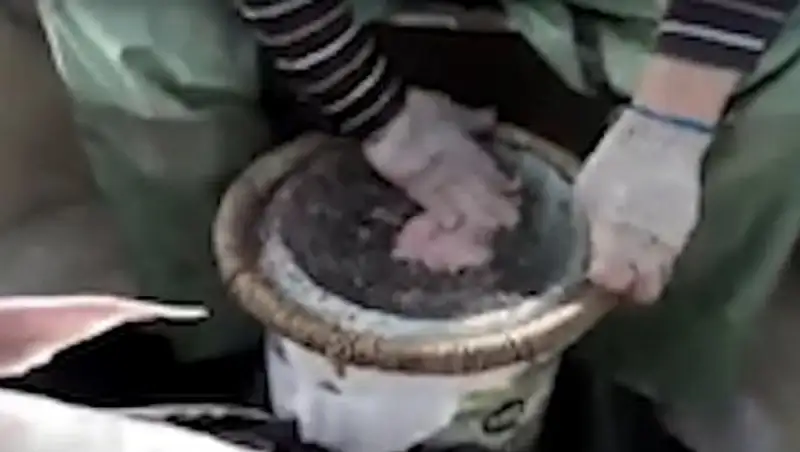Видео с разделывающими осетра на Каспии браконьерами появилось в Сети