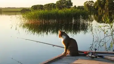 Zakon.kz, фото - Новости Zakon.kz от 29.06.2016 22:01