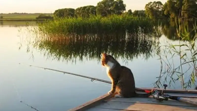 Самый жаркий месяц в году начнется в РК с дождливой и прохладной погоды