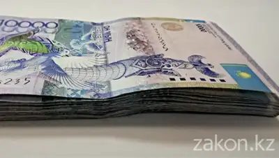 zakon.kz, фото - Новости Zakon.kz от 16.02.2020 18:28