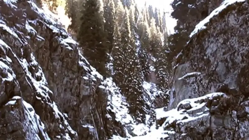 Спасатели нашли двух подростков, пропавших накануне в алматинских горах 