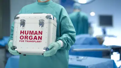 valeniahs.com, фото - Новости Zakon.kz от 29.07.2019 12:50