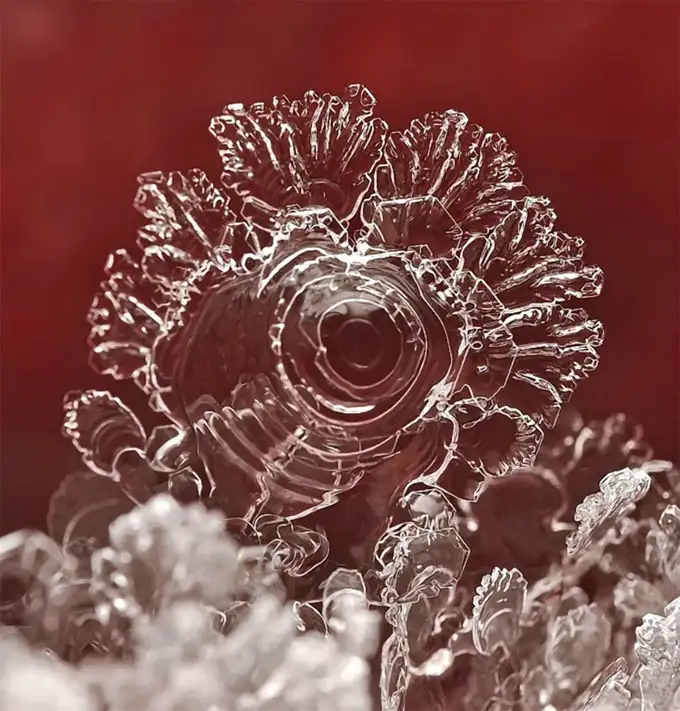 Снежинки. Фотограф Андрей Осокин Снежинки. Фотограф Андрей Осокин, фото - Новости Zakon.kz от 21.11.2013 00:00