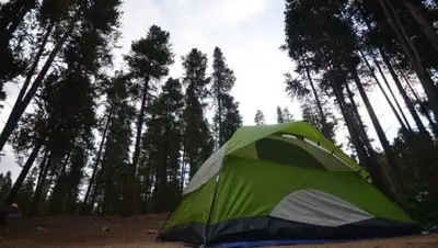 Zakon.kz, фото - Новости Zakon.kz от 15.08.2016 20:38