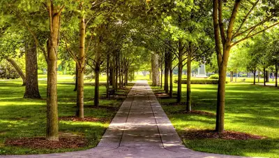 lechaim.ru, фото - Новости Zakon.kz от 19.11.2019 10:09