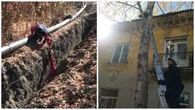 Спасатели Восточного Казахстана извлекли из ямы троих щенков и сняли с дерева кота, фото - Новости Zakon.kz от 03.10.2022 14:10
