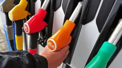 Zakon.kz, фото - Новости Zakon.kz от 25.09.2017 18:30