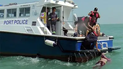 Zakon.kz, фото - Новости Zakon.kz от 19.06.2014 18:07