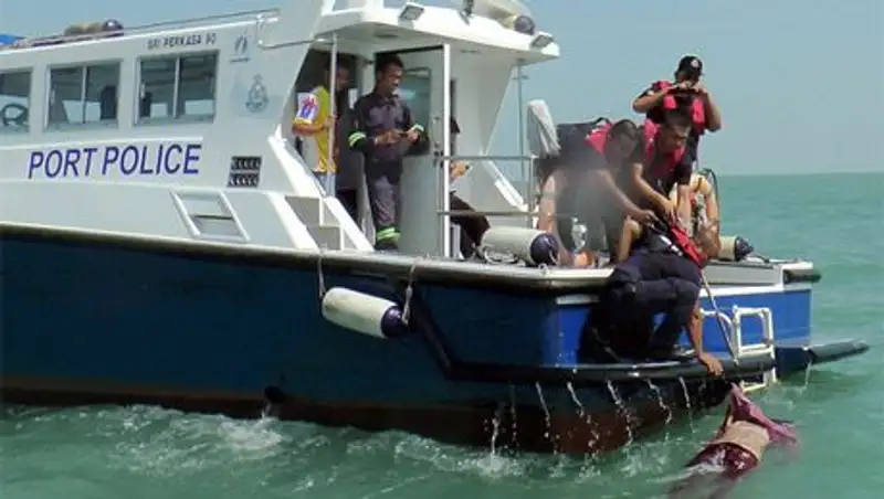 На месте кораблекрушения в Малайзии найдены девять тел