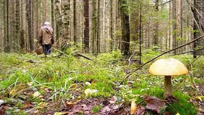 Zakon.kz, фото - Новости Zakon.kz от 28.07.2014 17:21