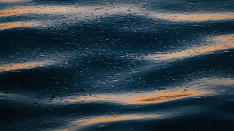 На пастбище в Атырауской области найден разлив нефти