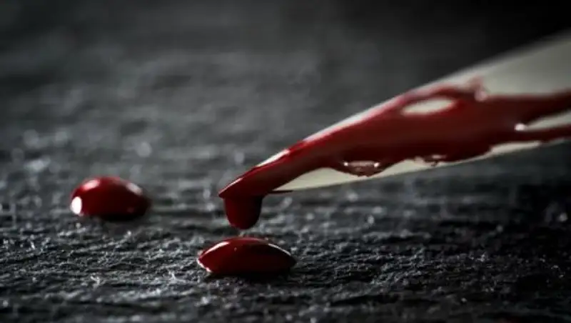 В ЮКО 85-летняя женщина обвиняется в убийстве сына