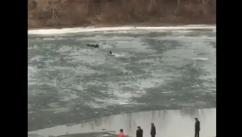 Екібаст&#1201;зда екі балы&#1179;шы &#1179;&#1201;т&#1179;арылды