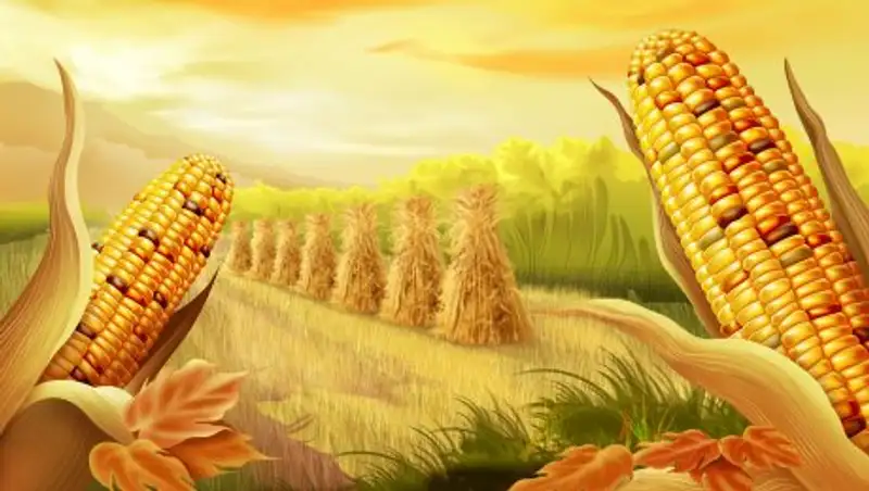 В США китайца приговорили к 3 годам тюрьмы за попытку кражи секретной кукурузы