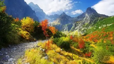 Zakon.kz, фото - Новости Zakon.kz от 05.10.2015 22:59