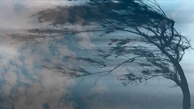 Сильный ветер ожидается в Казахстане