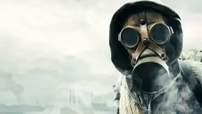 Zakon.kz, фото - Новости Zakon.kz от 08.09.2017 16:59