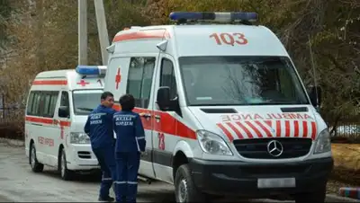 inform.kz, фото - Новости Zakon.kz от 20.06.2018 00:36