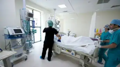 Zakon.kz, фото - Новости Zakon.kz от 07.11.2017 17:32