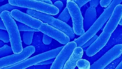 Zakon.kz, фото - Новости Zakon.kz от 04.01.2016 01:04