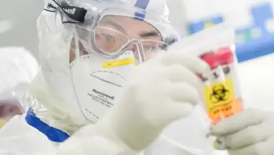 jpgazeta.ru, фото - Новости Zakon.kz от 15.02.2020 15:42